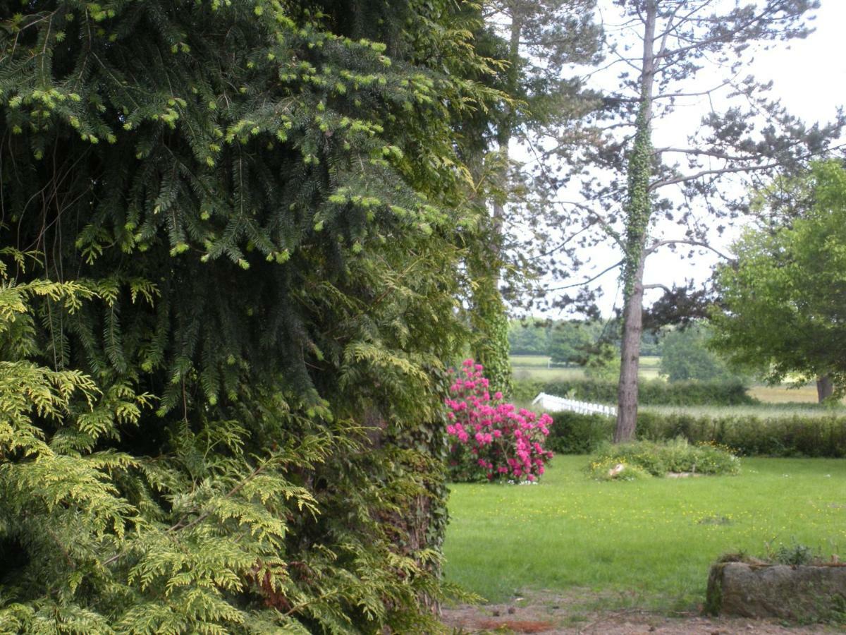 Montbeugny Le Domaine Du Mijarnier Bed & Breakfast エクステリア 写真