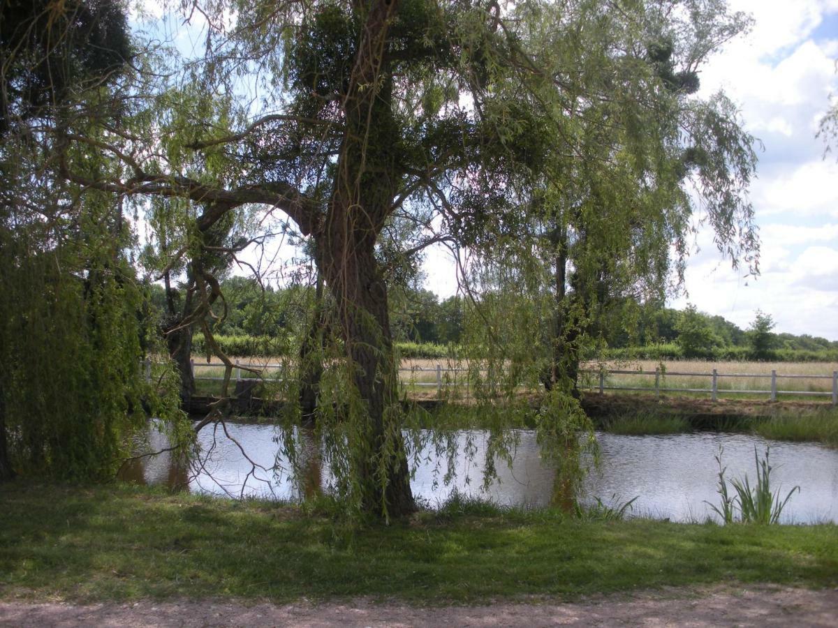 Montbeugny Le Domaine Du Mijarnier Bed & Breakfast エクステリア 写真