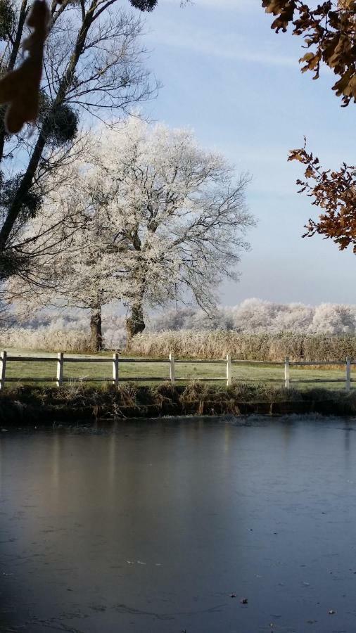 Montbeugny Le Domaine Du Mijarnier Bed & Breakfast エクステリア 写真