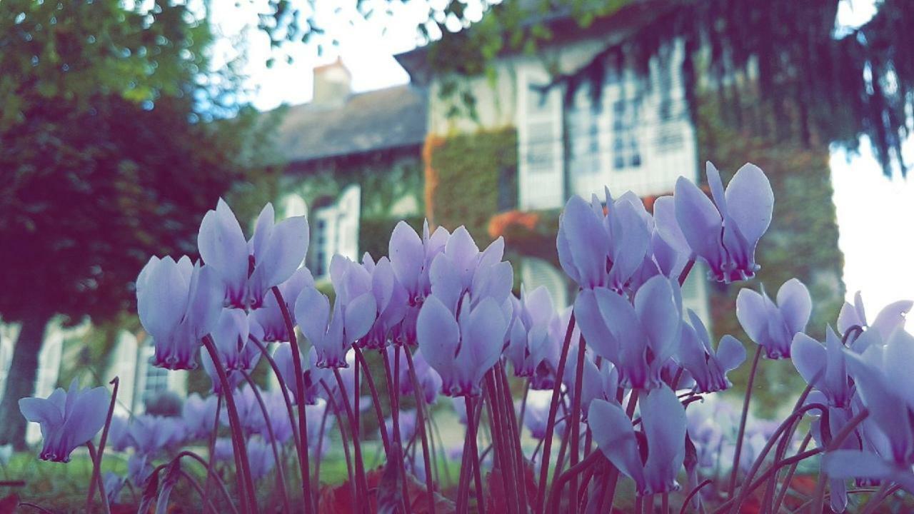 Montbeugny Le Domaine Du Mijarnier Bed & Breakfast エクステリア 写真